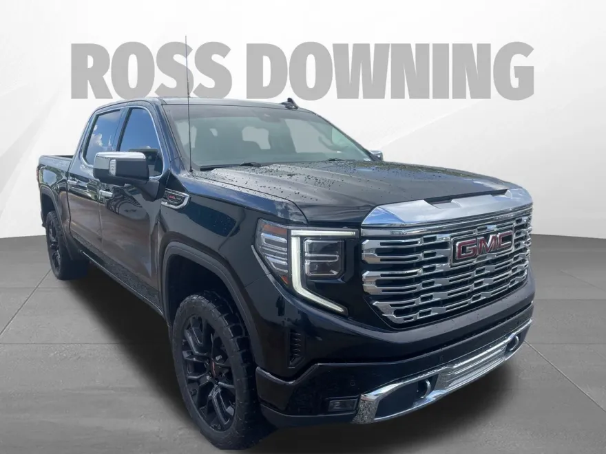 2022 Gmc Sierra 1500 Denali photo 1
