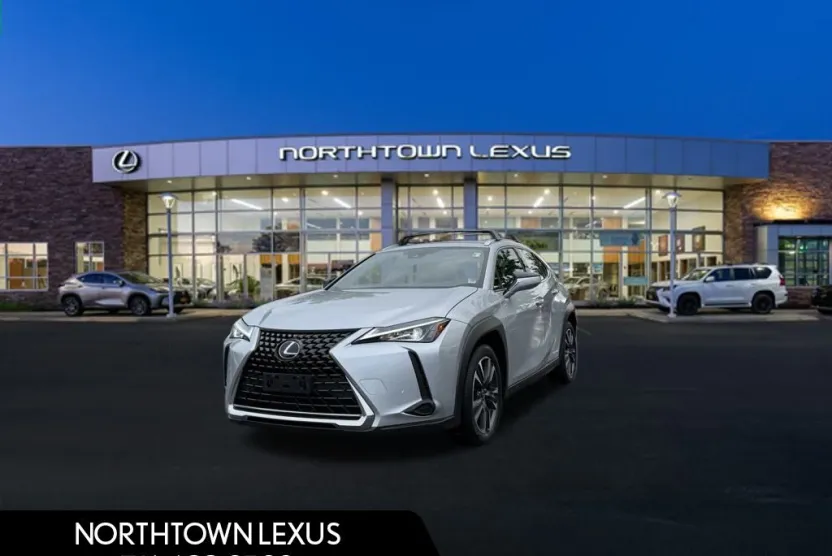 2020 Lexus UX 250h Premium photo 1