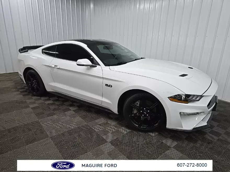 2019 Ford Mustang GT Premium photo 1