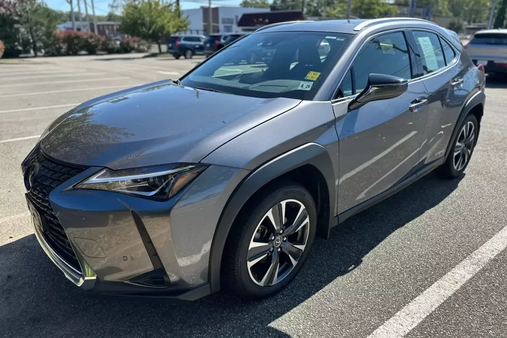 2021 Lexus UX 250h photo 1