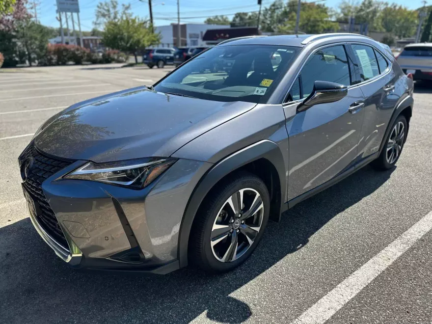 2021 Lexus UX 250h photo 1