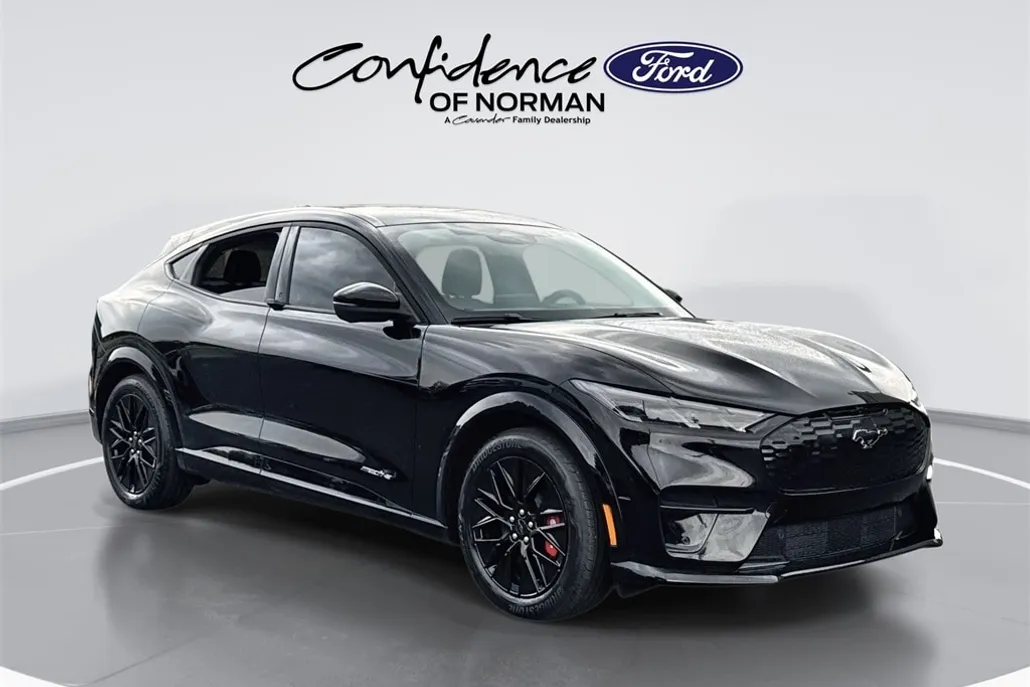 2025 Ford Mustang Mach-E Premium photo 1