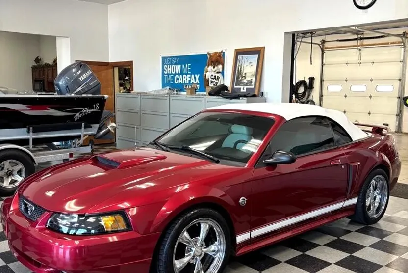 2004 Ford Mustang GT Deluxe Convertible photo 1