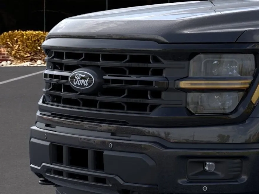 2025 Ford F-150 XLT photo 13