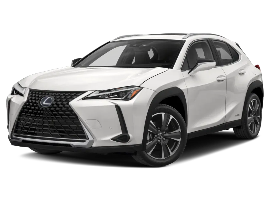 2021 Lexus UX 250h photo 1