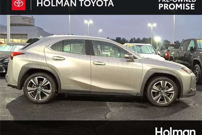 2021 Lexus UX 250h photo 1
