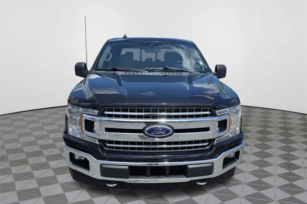 2019 Ford F-150 XL photo 1