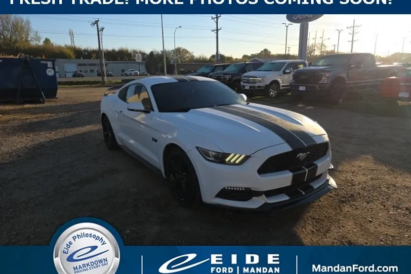 2016 Ford Mustang EcoBoost Premium photo 1