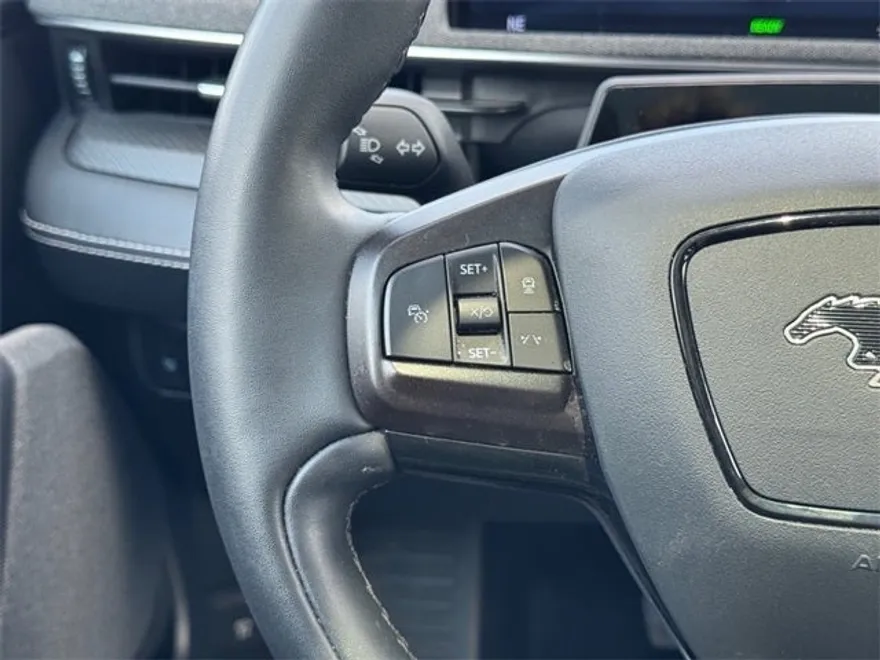 2021 Ford Mustang Mach-E Premium photo 22