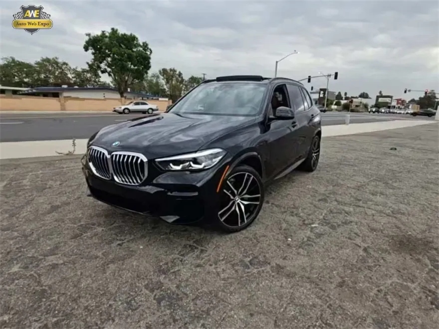 2022 Bmw X5 xDrive40i photo 1