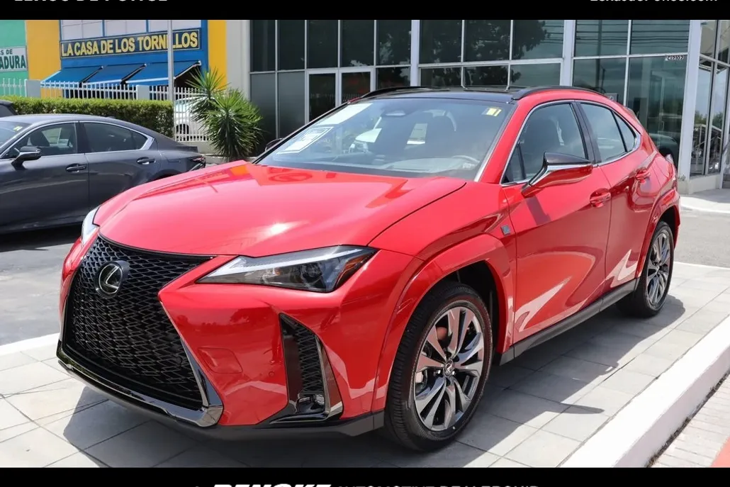 2025 Lexus UX photo 1