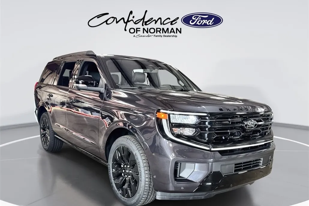 2025 Ford Expedition Platinum photo 1