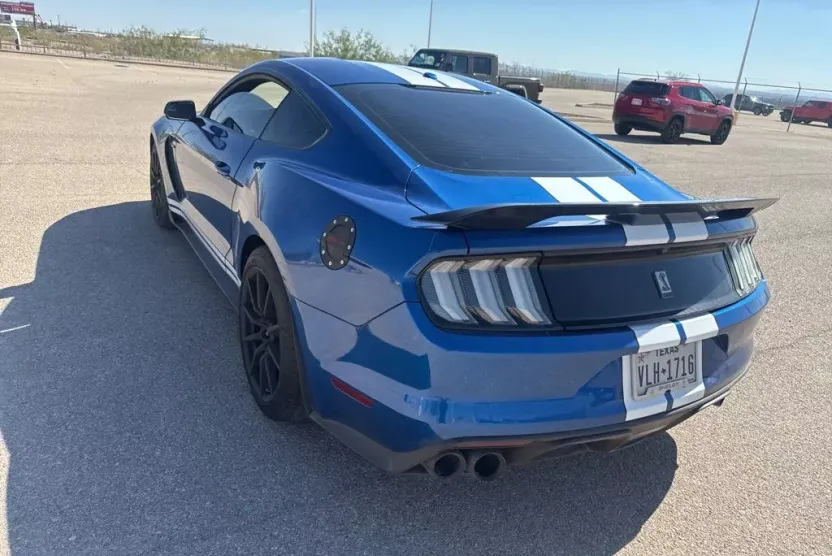 2017 Ford Mustang Shelby GT350 photo 1