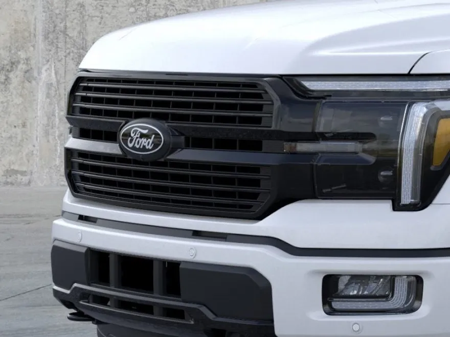 2025 Ford F-150 Platinum photo 17