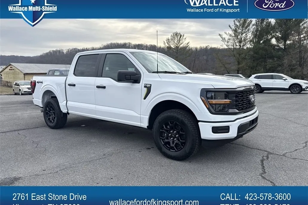 2025 Ford F-150 STX photo 1