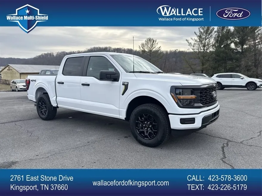 2025 Ford F-150 STX photo 1