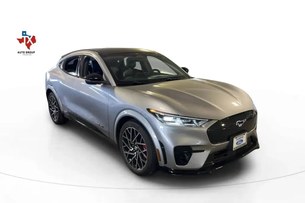 2021 Ford Mustang Mach-E GT photo 1