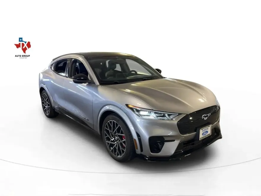 2021 Ford Mustang Mach-E GT photo 1