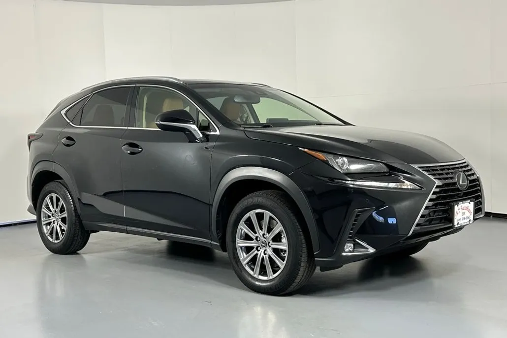 2019 Lexus NX 300 Luxury photo 1