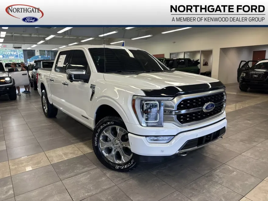 2021 Ford F-150 Platinum photo 1