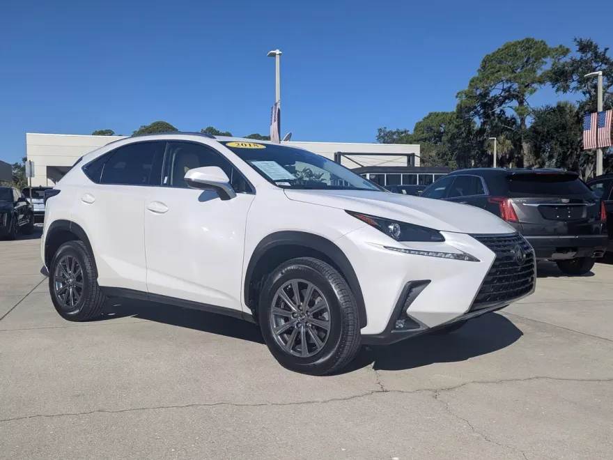 2018 Lexus NX 300 Luxury photo 1