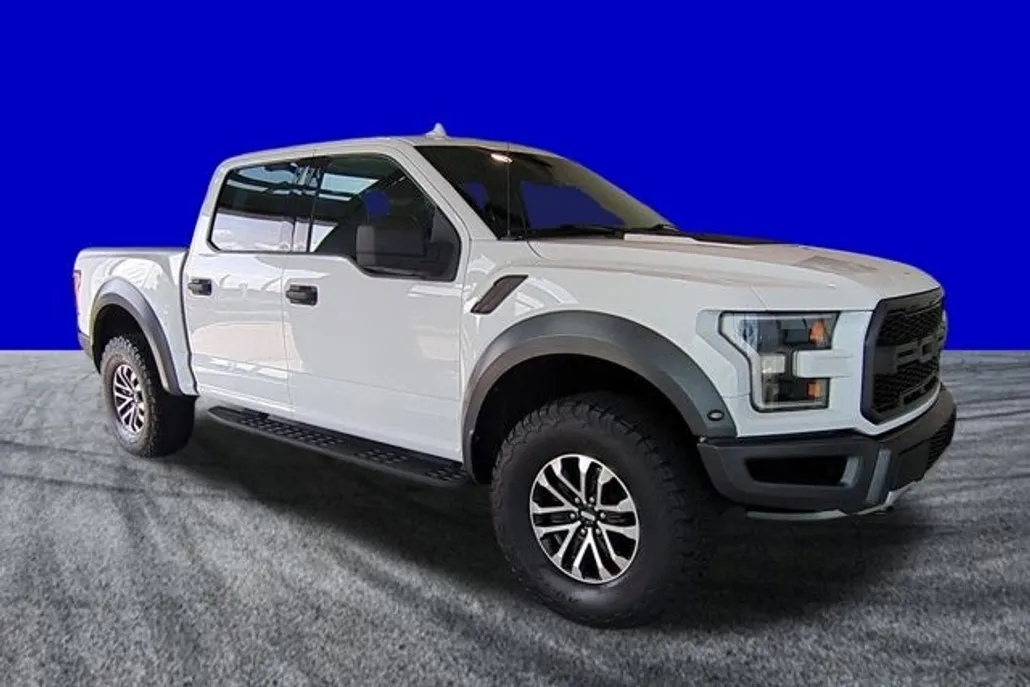 2019 Ford F-150 Raptor photo 1