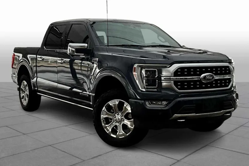 2021 Ford F-150 Platinum photo 1