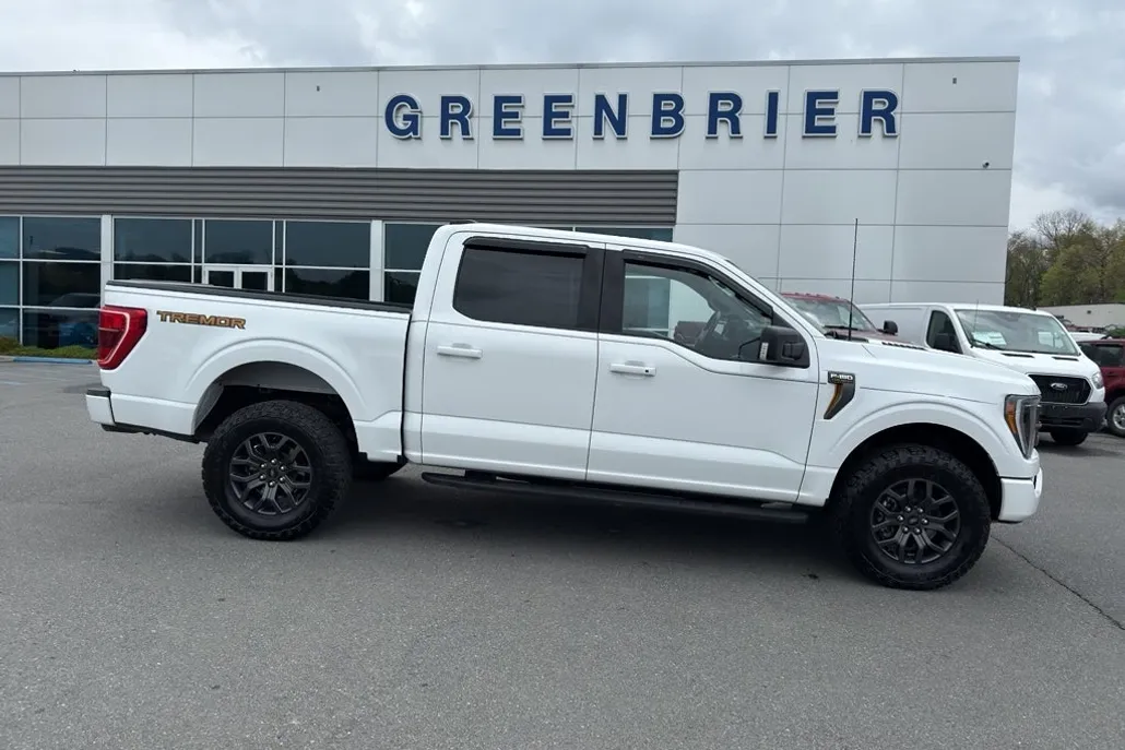 2021 Ford F-150 Tremor photo 1