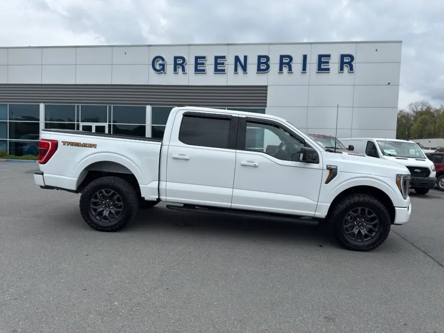 2021 Ford F-150 Tremor photo 1