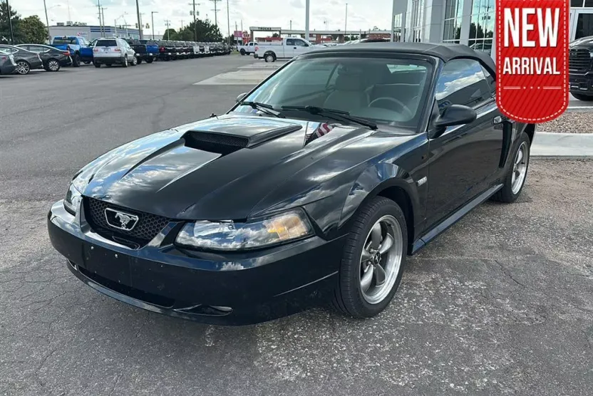 2003 Ford Mustang GT Deluxe Convertible photo 1