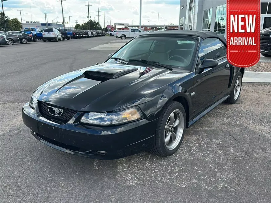 2003 Ford Mustang GT Deluxe Convertible photo 1