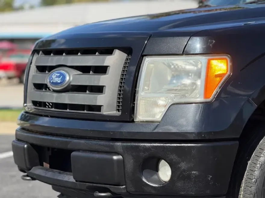 2010 Ford F-150 photo 1
