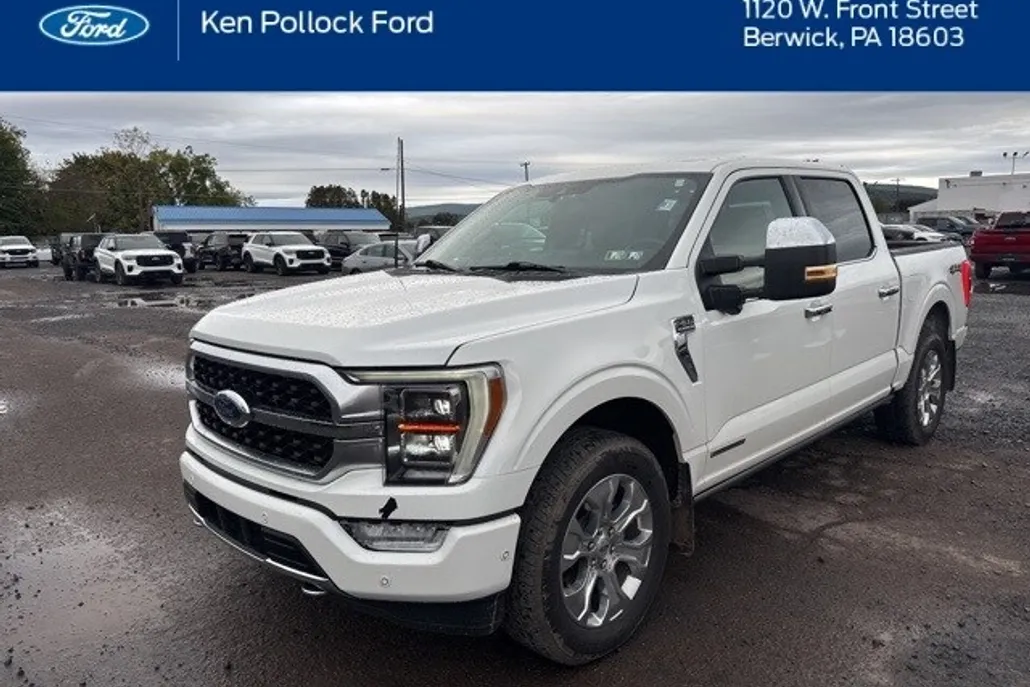 2022 Ford F-150 Platinum photo 1