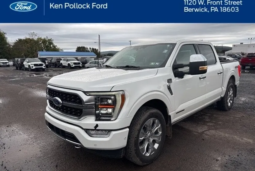 2022 Ford F-150 Platinum photo 1
