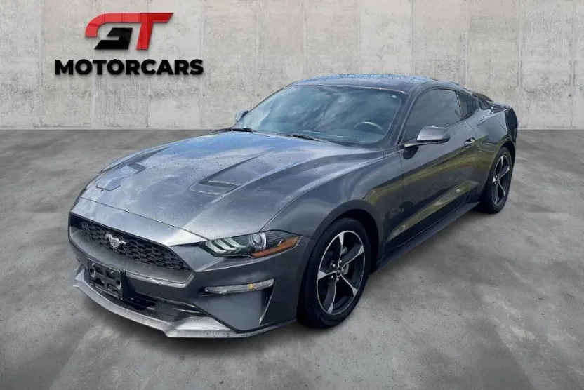 2019 Ford Mustang EcoBoost photo 1