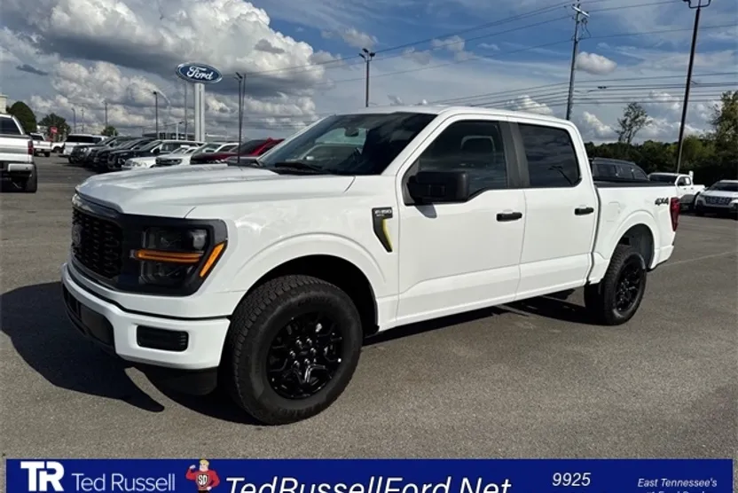 2025 Ford F-150 STX photo 1