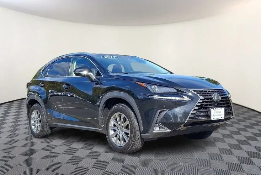 2019 Lexus NX 300 Luxury photo 1