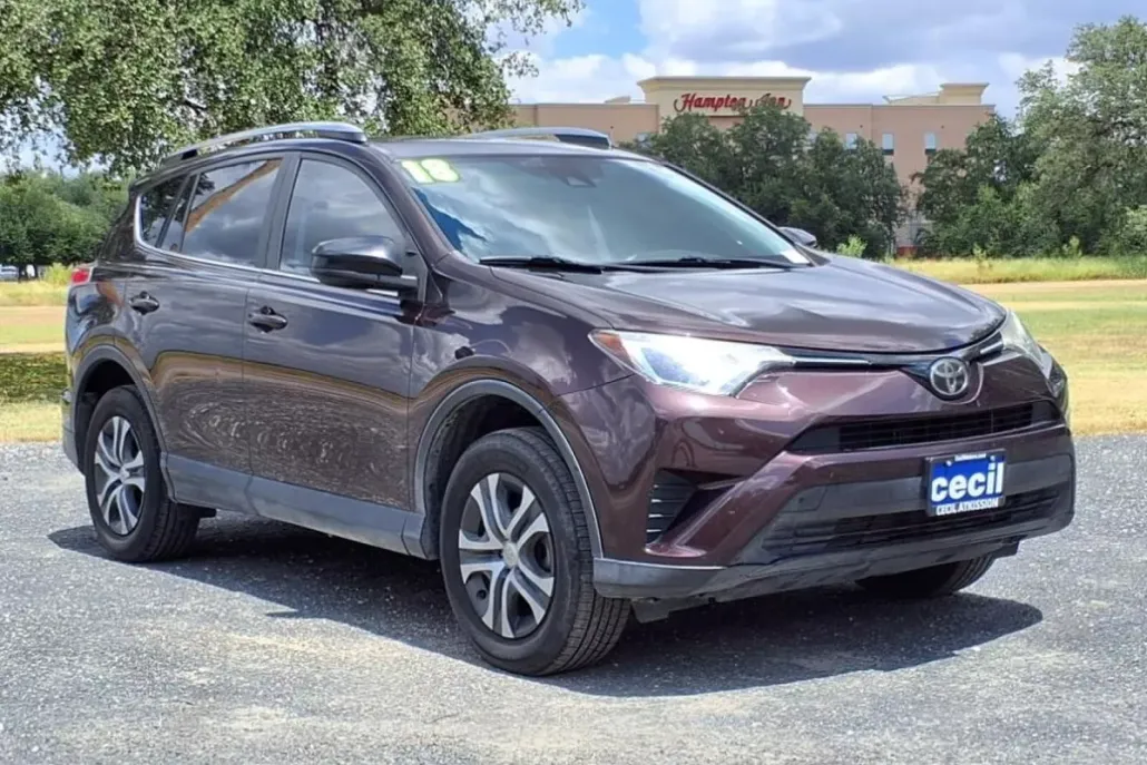 2018 Toyota RAV4 LE photo 1