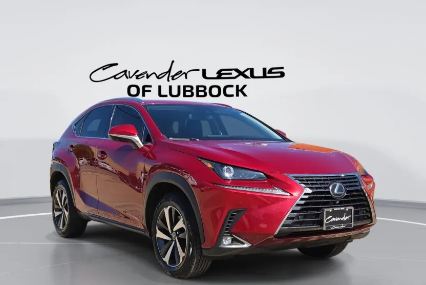 2021 Lexus NX 300 Premium photo 1