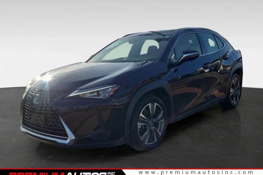 2019 Lexus UX 200 photo 1