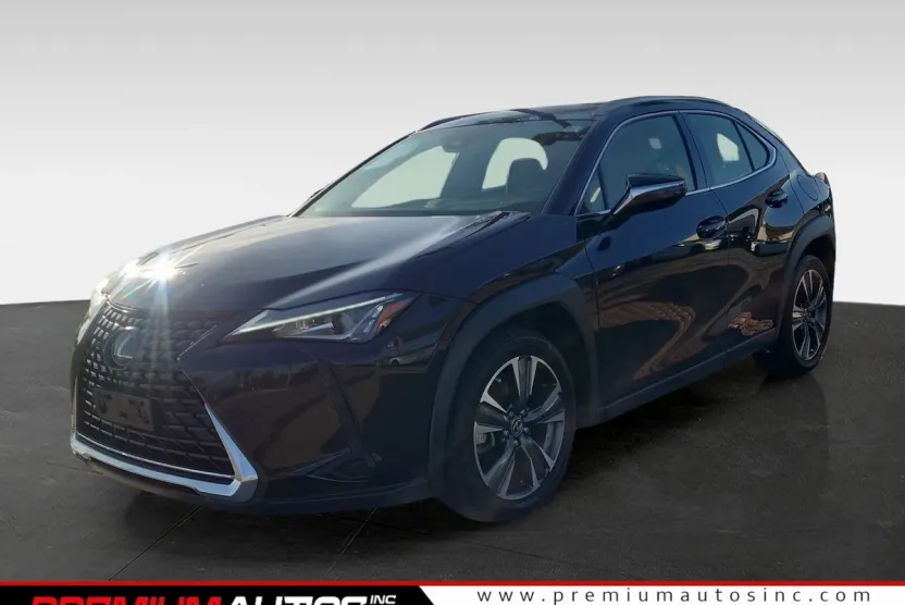 2019 Lexus UX 200 photo 1