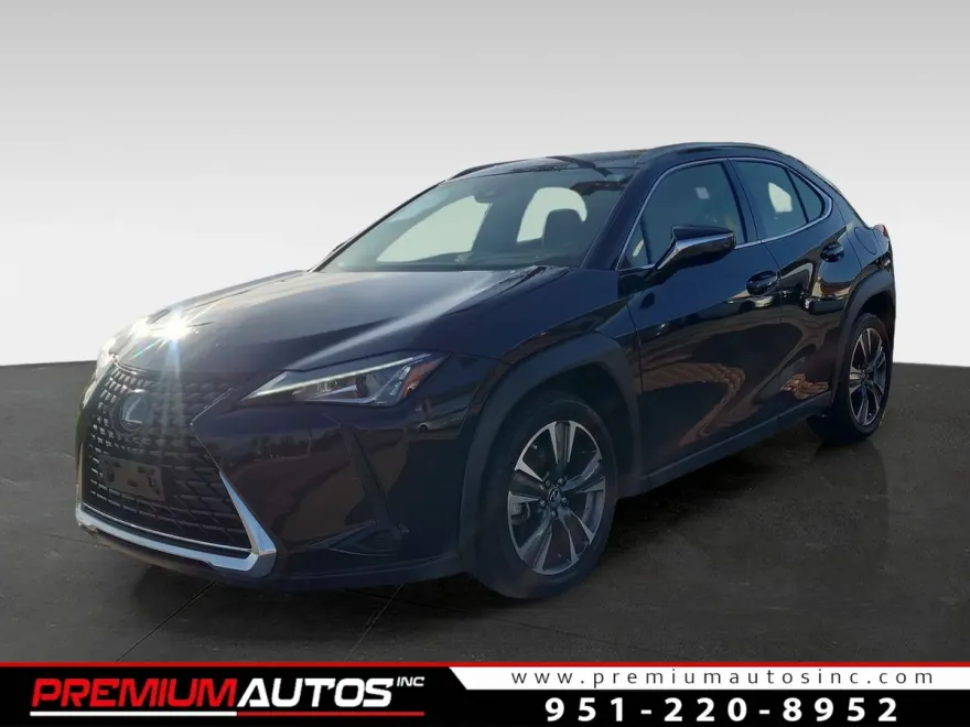 2019 Lexus UX 200 photo 1