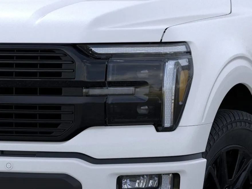 2025 Ford F-150 Platinum photo 18
