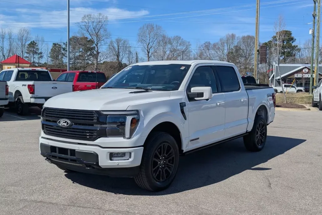 2025 Ford F-150 Platinum photo 1