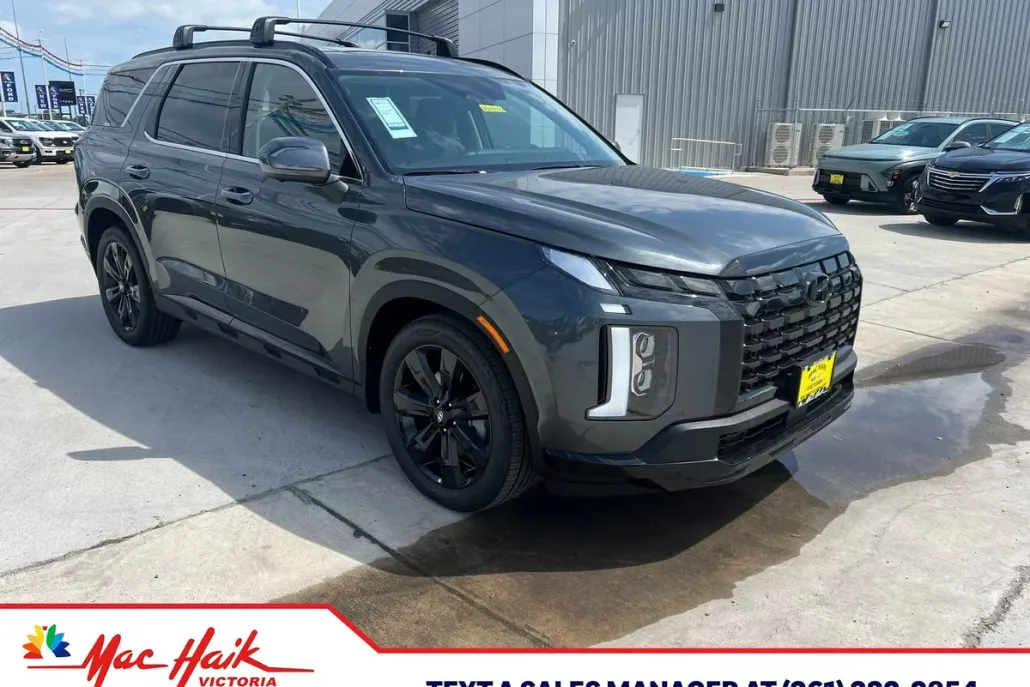 2025 Hyundai Palisade XRT photo 1