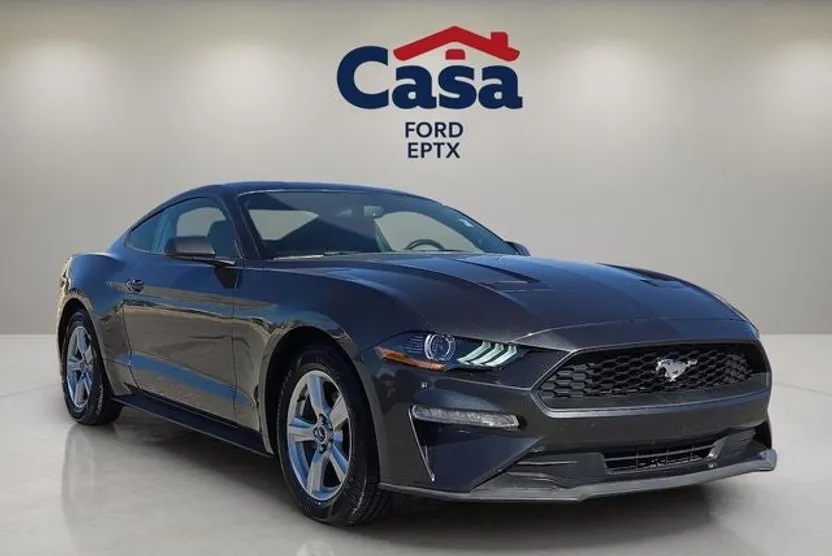 2019 Ford Mustang EcoBoost photo 1