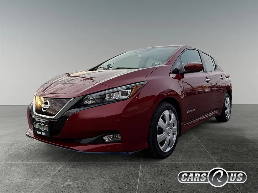2019 Nissan Leaf SL Plus photo 1