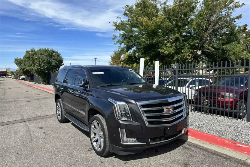 2017 Cadillac Escalade Luxury photo 1