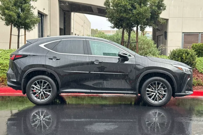 2024 Lexus NX 350h photo 1