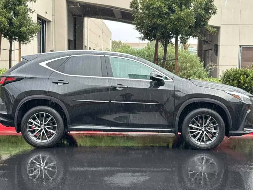 2024 Lexus NX 350h photo 1